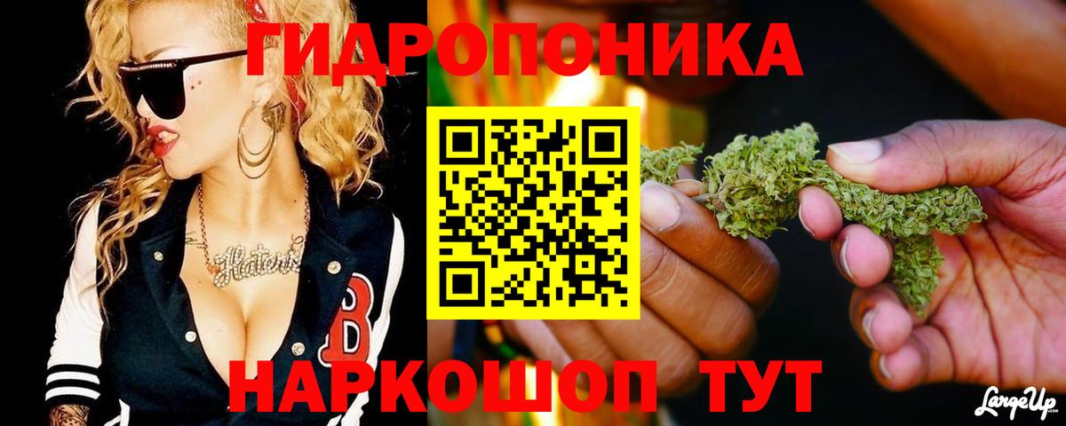 Бошки Шишки конопля Вологда